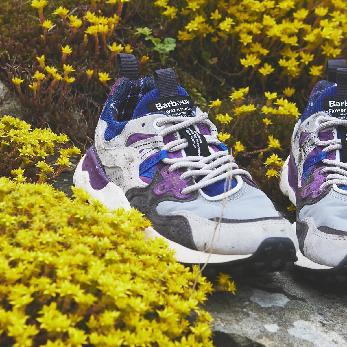 Flower MOUNTAIN (フラワーマウンテン) のイメージ画像。黄色い花が咲いている中にグレーベースのFlower MOUNTAIN (フラワーマウンテン) のスニーカーが置いてある。